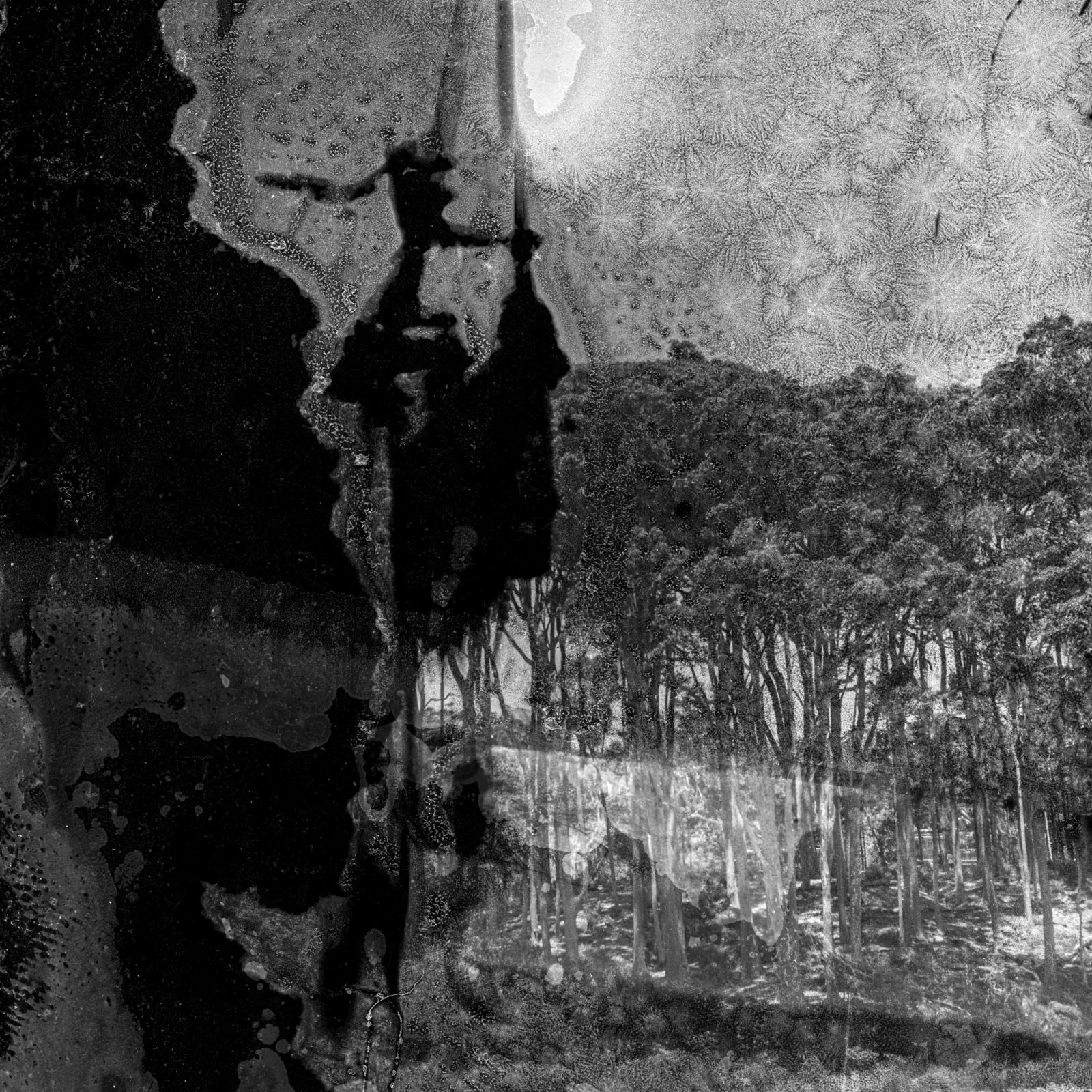 Sammy Hawker, Murramarang National Park #1, 2020.
Archival photographic print from 6 x 6 negative processed with ocean water and hailstones.
